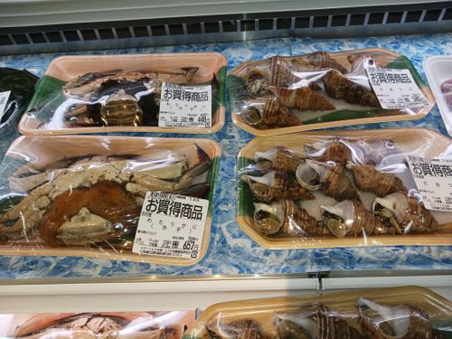 北海道の旨い!を食べるC△mp旅’2025(3 of 4) 北海道 ファミリーキャンプ キャンピングカー vios outdoor'sさんのキャンプブログ CAMPiii(キャンピー) -キャンプ専用SNS キャンプのすべてがここに集まる-