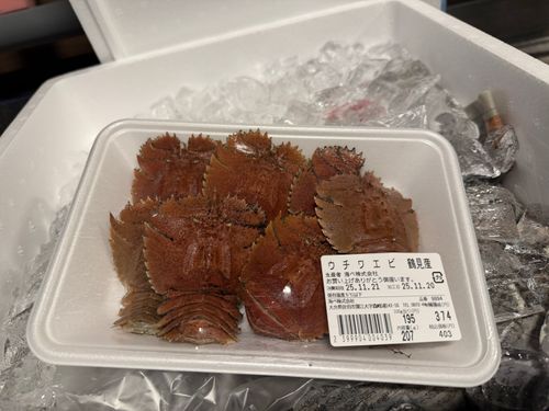 九州伊勢えびキャンプ🦞̥@紅葉観に行こーよ🍁 阿蘇レインボーバレー ファミリーキャンプ オートサイト ぐうたら夫婦さんのキャンプブログ CAMPiii（キャンピー） -キャンプ専用SNS キャンプのすべてがここに集まる-