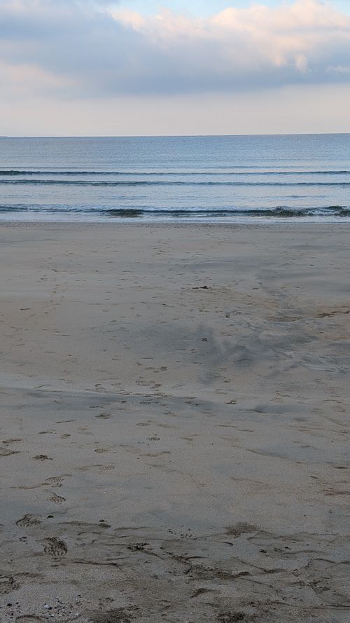 波間に消えた小僧と巨像 コースタルパークリトリート /Coastal Park RETREAT – RV & Campervan Site / ファミリーキャンプ グループキャンプ 区画サイト オートサイト ヒゲキャンさんのキャンプブログ CAMPiii(キャンピー) -キャンプ専用SNS キャンプのすべてがここに集まる-