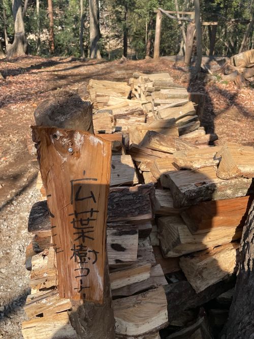 薪放題に満足🪵 くにあきの森：あなたまかせのキャンプ場 グループキャンプ ソロキャンプ フリーサイト もるがんさんのキャンプブログ CAMPiii（キャンピー） -キャンプ専用SNS キャンプのすべてがここに集まる-