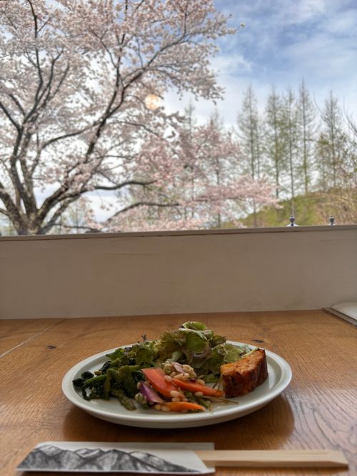 キャンプ解禁🎉＆乾杯🍻青木ヶ原樹海を歩く!? 「フラット登山」第2弾 DOTEKAGE CAMP GROUND 区画サイト Jimko☆さんのキャンプブログ CAMPiii（キャンピー） -キャンプ専用SNS キャンプのすべてがここに集まる-