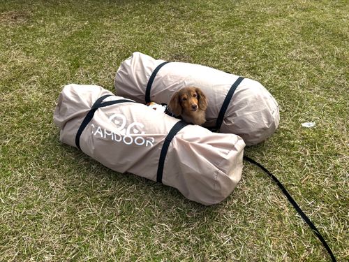 新人(犬)登場 ファミリーキャンプ 区画サイト 友希たろうさんのキャンプブログ CAMPiii(キャンピー) -キャンプ専用SNS キャンプのすべてがここに集まる-