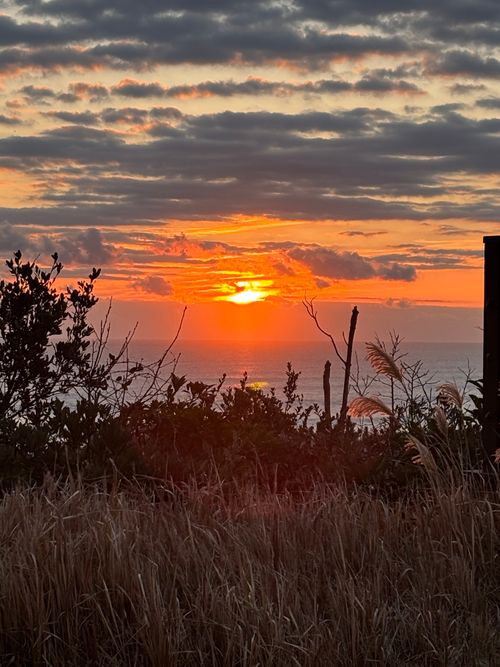 2025最後のキャンプ tama海terrasse - タマ海テラス - ファミリーキャンプ 区画サイト aozoraさんのキャンプブログ CAMPiii（キャンピー） -キャンプ専用SNS キャンプのすべてがここに集まる-