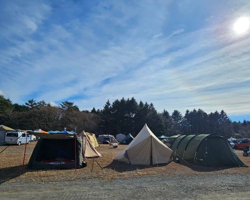 俺のあそびฅ(o‘ⓛ’o)ฅ    みりきゃん2025 富士本栖湖リゾート グループキャンプ ソロキャンプ フリーサイト くまくまさんのキャンプブログ CAMPiii（キャンピー） -キャンプ専用SNS キャンプのすべてがここに集まる-