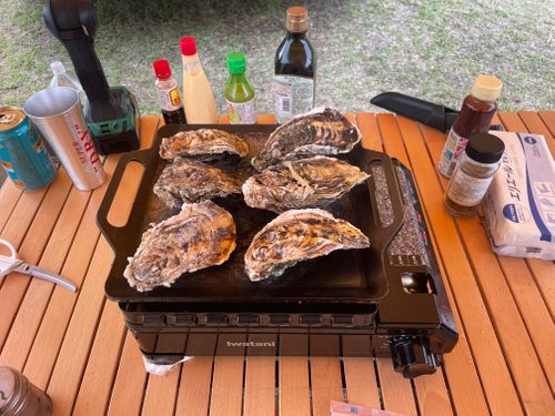 友人とグルャン グループキャンプ フリーサイト Shinさんのキャンプブログ CAMPiii（キャンピー） -キャンプ専用SNS キャンプのすべてがここに集まる-