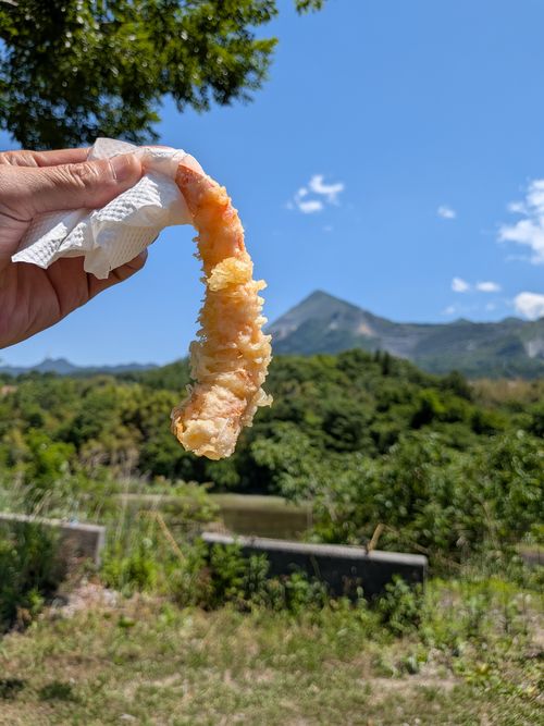 オークス、ダービー 取れなかった (ТoТ) ともえ川Park ソロキャンプ グループキャンプ 区画サイト フリーサイト オートサイト IZUIZUさんのキャンプブログ CAMPiii（キャンピー） -キャンプ専用SNS キャンプのすべてがここに集まる-