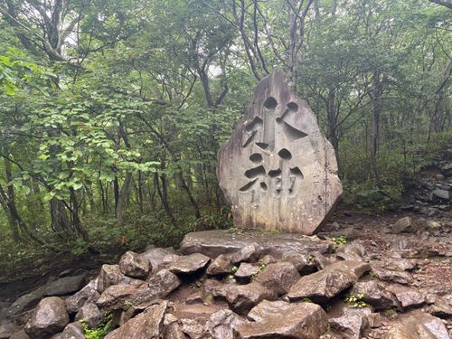 霧けむる泉ヶ岳 オーエンス泉岳自然ふれあい館 ソロキャンプ 区画サイト やまなかさんのキャンプブログ CAMPiii（キャンピー） -キャンプ専用SNS キャンプのすべてがここに集まる-