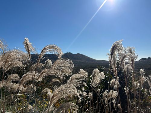 バックパックに憧れて、ついに決行 トウシキキャンプ場(野営場)無料 ソロキャンプ グループキャンプ フリーサイト Genさんのキャンプブログ CAMPiii（キャンピー） -キャンプ専用SNS キャンプのすべてがここに集まる-