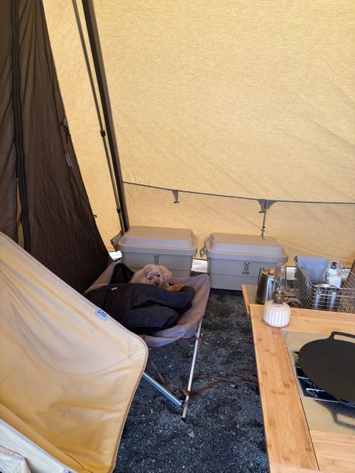 絶景と温泉と薪ストーブとわんこ♡ 未完の里 ファミリーキャンプ 区画サイト aozoraさんのキャンプブログ CAMPiii（キャンピー） -キャンプ専用SNS キャンプのすべてがここに集まる-