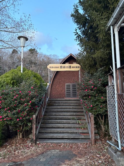 突然決めたソロキャン　森スポ 秋保森林スポーツ公園 ソロキャンプ 区画サイト オートサイト ぱぱちょさんのキャンプブログ CAMPiii（キャンピー） -キャンプ専用SNS キャンプのすべてがここに集まる-