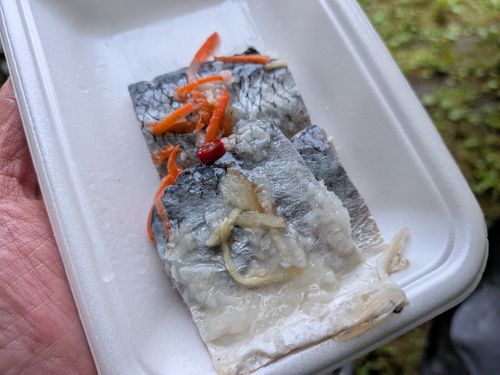 2016年 お盆 酸ヶ湯キャンプ場 ソロキャンプ 区画サイト IZUIZUさんのキャンプブログ CAMPiii（キャンピー） -キャンプ専用SNS キャンプのすべてがここに集まる-