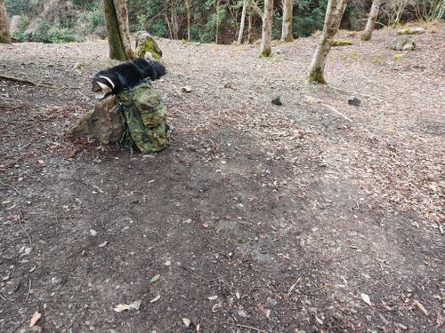 自分史上最重量級キャンプ。 兵庫県 ソロキャンプ フリーサイト ぞのさんさんのキャンプブログ CAMPiii（キャンピー） -キャンプ専用SNS キャンプのすべてがここに集まる-