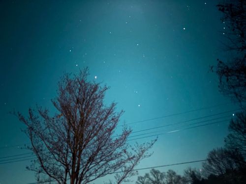 つくば山キャンプ！ 石岡市つくばねオートキャンプ場 ファミリーキャンプ オートサイト ぺちゃさんのキャンプブログ CAMPiii（キャンピー） -キャンプ専用SNS キャンプのすべてがここに集まる-