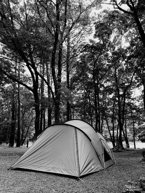 もう雪景色はおなかいっぱい&hellip;なので、現実逃避【備忘録】 エンゼルフォレスト那須白河｜ペットと泊まれる宿 Oniyomeさんのキャンプブログ CAMPiii（キャンピー） -キャンプ専用SNS キャンプのすべてがここに集まる-