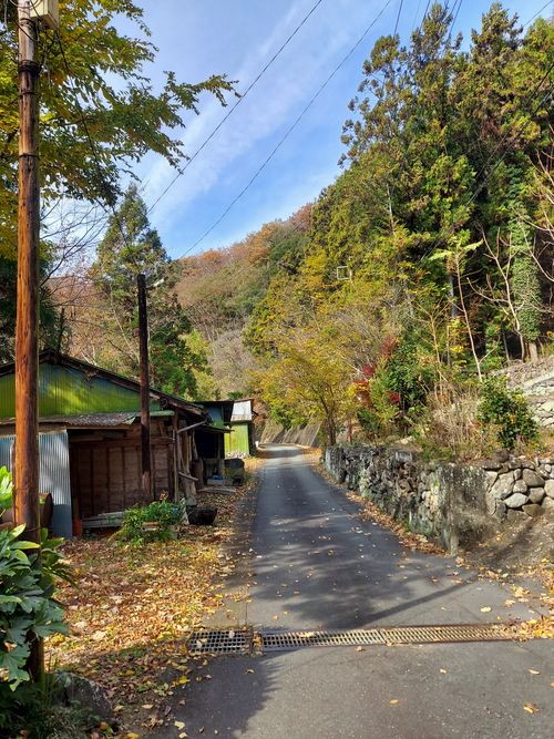 鹿岳辺りの紅葉🍁 One and…Nanmoku Another BASE ソロキャンプ 区画サイト ひろ16さんのキャンプブログ CAMPiii（キャンピー） -キャンプ専用SNS キャンプのすべてがここに集まる-