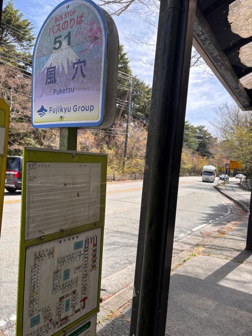 キャンプ解禁🎉＆乾杯🍻青木ヶ原樹海を歩く!? 「フラット登山」第2弾 DOTEKAGE CAMP GROUND 区画サイト Jimko☆さんのキャンプブログ CAMPiii（キャンピー） -キャンプ専用SNS キャンプのすべてがここに集まる-