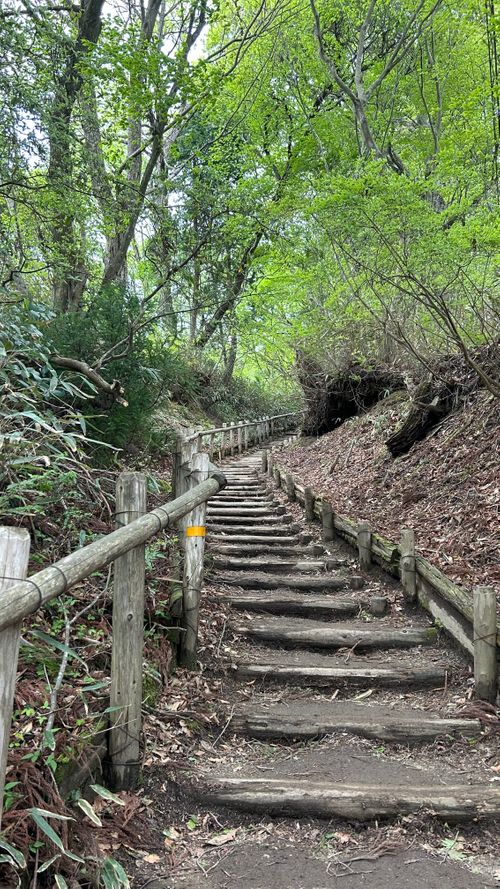 登山デビュー(テント泊付き) 金剛山 ソロキャンプ 区画サイト △kuuga△さんのキャンプブログ CAMPiii（キャンピー） -キャンプ専用SNS キャンプのすべてがここに集まる-
