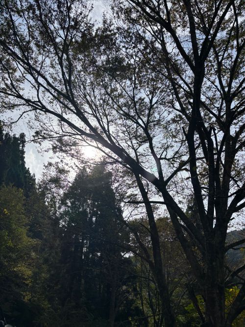 降ったり止んだり 朽木こがわ渓流センターキャンプ場 ファミリーキャンプ 区画サイト Kさんのキャンプブログ CAMPiii（キャンピー） -キャンプ専用SNS キャンプのすべてがここに集まる-