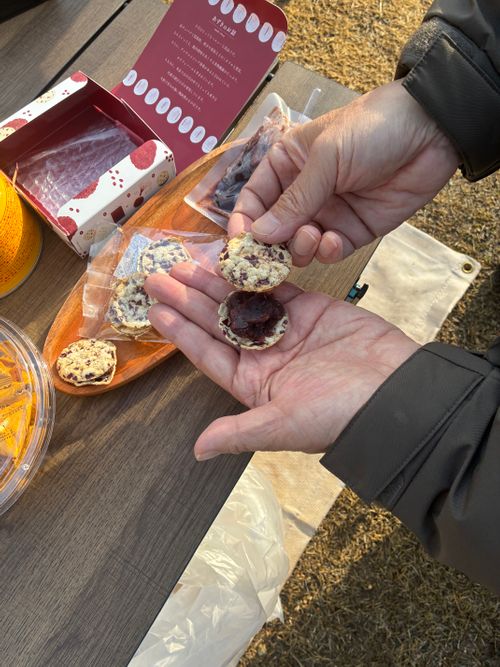 雨の中、ゆったり春キャンプ⛺️ ユニトピアささやまCAMP&VILLAGE 区画サイト kiyoさんのキャンプブログ CAMPiii（キャンピー） -キャンプ専用SNS キャンプのすべてがここに集まる-