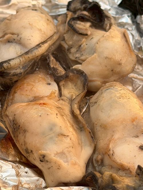 久しぶりに 神割崎キャンプ場 ファミリーキャンプ フリーサイト 範馬勇次郎さんのキャンプブログ CAMPiii（キャンピー） -キャンプ専用SNS キャンプのすべてがここに集まる-