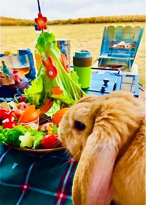 天国と地獄！？ 聖なる夜を愉しむおじおばうさキャン△ in グランヴェルデリゾート 〜 CAMP NO.168 GRAND VERDE RESORT ファミリーキャンプ グループキャンプ フリーサイト おじキャン△さんのキャンプブログ CAMPiii（キャンピー） -キャンプ専用SNS キャンプのすべてがここに集まる-