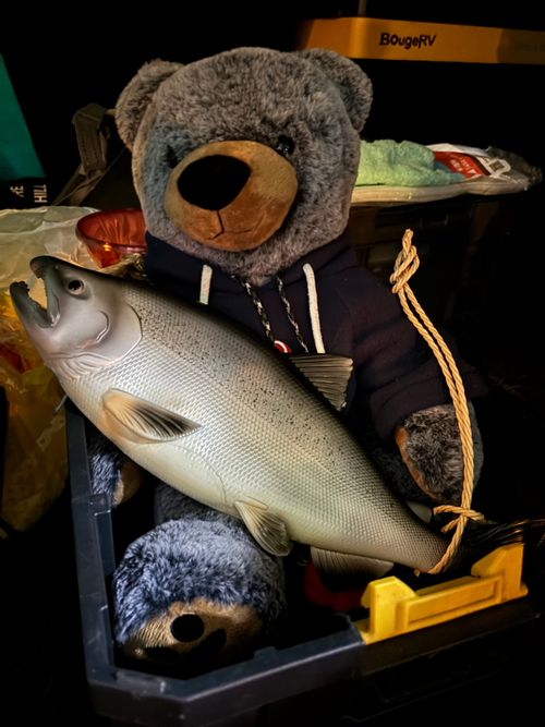 初参戦‼︎ミリタリーぐる 富士本栖湖リゾート グループキャンプ フリーサイト まつけんさんのキャンプブログ CAMPiii（キャンピー） -キャンプ専用SNS キャンプのすべてがここに集まる-