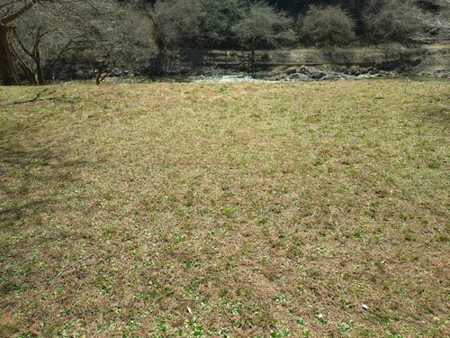 新幕デビューin白鳥の湖🏕️ ふれあいパーク大原湖 ソロキャンプ 区画サイト ＪＩＭＭＹさんのキャンプブログ CAMPiii（キャンピー） -キャンプ専用SNS キャンプのすべてがここに集まる-