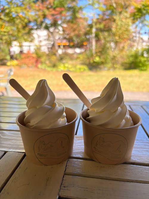 初めての父子キャン North Village Hirugano - Camping Fields ファミリーキャンプ だっちーさんのキャンプブログ CAMPiii（キャンピー） -キャンプ専用SNS キャンプのすべてがここに集まる-