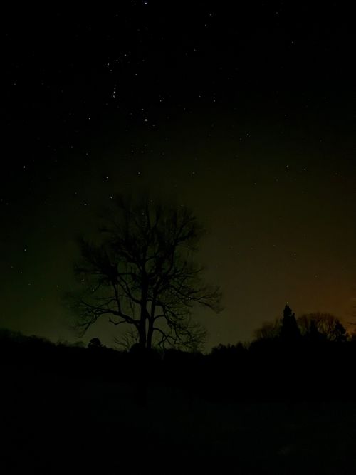 雪中が好きです 飛騨荘川 一色の森キャンプ場 ソロキャンプ グループキャンプ 区画サイト オートサイト たかたかぽんたさんのキャンプブログ CAMPiii（キャンピー） -キャンプ専用SNS キャンプのすべてがここに集まる-