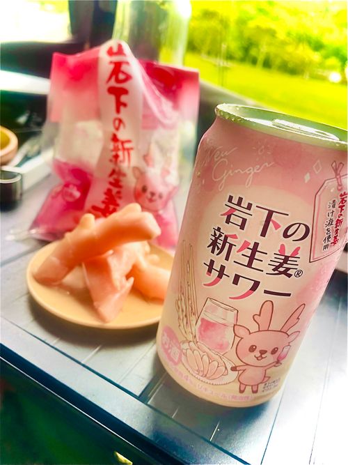 結局なぁ〜んも出来なかった悪天候おじおばうさキャン△ in 田万川キャンプ場 〜 CAMP NO.187 田万川キャンプ場 ファミリーキャンプ グループキャンプ フリーサイト おじキャン△さんのキャンプブログ CAMPiii（キャンピー） -キャンプ専用SNS キャンプのすべてがここに集まる-