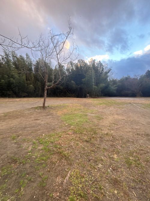 🎊新規キャンプ場オープン🎉🎉🎉 紫星の森 Oniyomeさんのキャンプブログ CAMPiii（キャンピー） -キャンプ専用SNS キャンプのすべてがここに集まる-