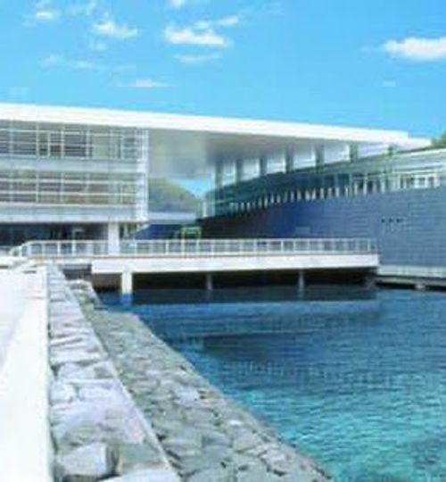 やっぱり悪天候？！おじおばうさキャン△ in 島の小さなキャンプ場toto・ん・トコ 〜 CAMP NO.180 島の小さなキャンプ場 toto・ん・トコ ファミリーキャンプ グループキャンプ フリーサイト おじキャン△さんのキャンプブログ CAMPiii（キャンピー） -キャンプ専用SNS キャンプのすべてがここに集まる-