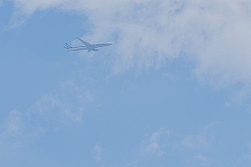 全国旅キャンプ第7弾の茨城編3日目 星の里いこいの森キャンプ場 ENJOY THE OUTDOORSさんのキャンプブログ CAMPiii(キャンピー) -キャンプ専用SNS キャンプのすべてがここに集まる-