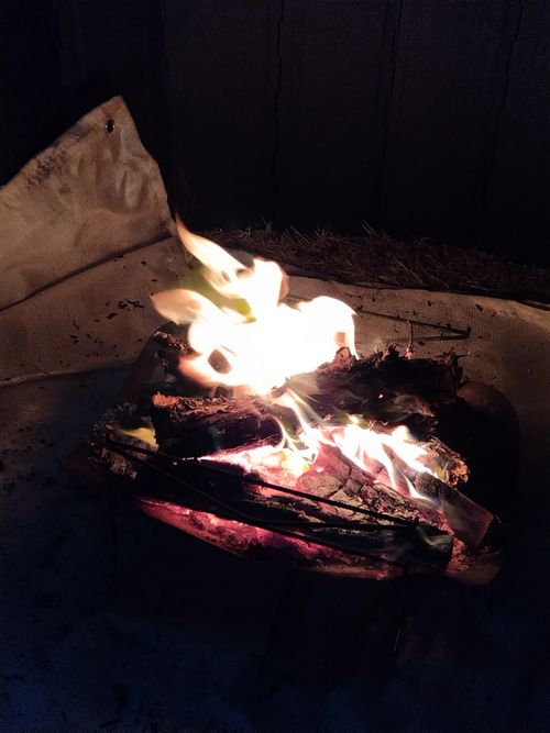 2026年初キャンプ　春ですがまだまだ寒かった The earth with dogs ファミリーキャンプ 区画サイト オートサイト セツさんのキャンプブログ CAMPiii（キャンピー） -キャンプ専用SNS キャンプのすべてがここに集まる-