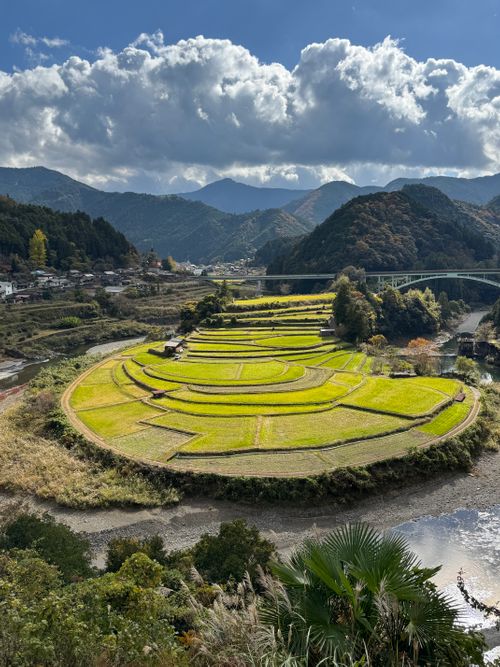 星がキレイな「過保護」キャンプ W.A.S. River side nature terrace ファミリーキャンプ 区画サイト yoji@campさんのキャンプブログ CAMPiii（キャンピー） -キャンプ専用SNS キャンプのすべてがここに集まる-