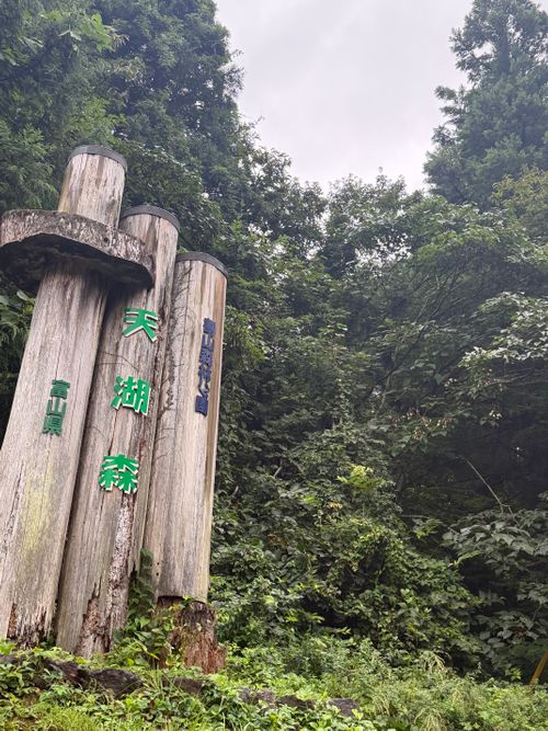 CAMPiii（キャンピー） まっつんさんのキャンプブログ 台風なんてキライだぁ〜 割山森林公園天湖森
