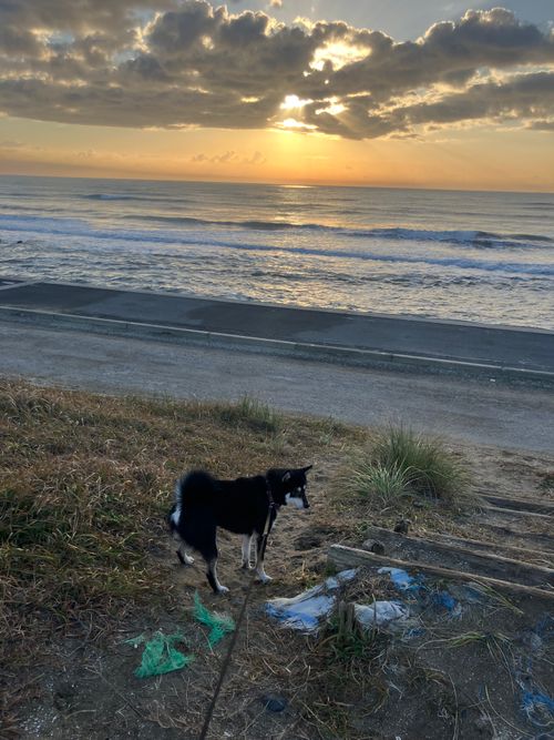 九十九里浜、やはり海はいいね！ 九十九里浜シーサイドオートキャンプ場 ソロキャンプ 区画サイト オートサイト アクセルさんのキャンプブログ CAMPiii（キャンピー） -キャンプ専用SNS キャンプのすべてがここに集まる-