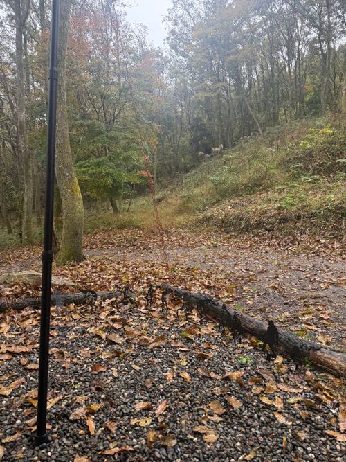 CAMPxWOOD懇親会キャンプ CAMP×WOODS ファミリーキャンプ 区画サイト moreAiさんのキャンプブログ CAMPiii（キャンピー） -キャンプ専用SNS キャンプのすべてがここに集まる-