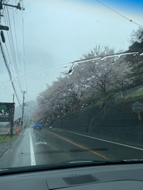 同僚とデュオキャンプ！道志村にある久保キャンプ場へ！ 道志村 久保キャンプ場 ソロキャンプ グループキャンプ 区画サイト ma9さんのキャンプブログ CAMPiii（キャンピー） -キャンプ専用SNS キャンプのすべてがここに集まる-