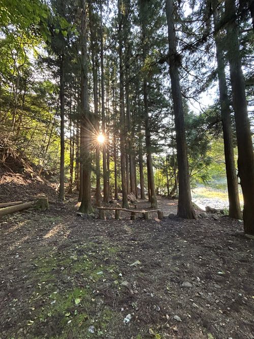 久しぶりのWOODSMAN WOODSMAN CAMPGROUND ソロキャンプ フリーサイト Genさんのキャンプブログ CAMPiii（キャンピー） -キャンプ専用SNS キャンプのすべてがここに集まる-
