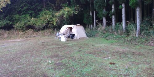 TAWAキャンプ場 そに木霊リゾート～垰tawa～ ソロキャンプ 区画サイト まさやんさんのキャンプブログ CAMPiii（キャンピー） -キャンプ専用SNS キャンプのすべてがここに集まる-