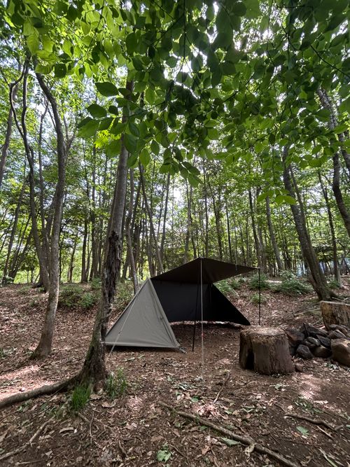 3週連続ソロキャンプ🏕️ CAMP BEAN ソロキャンプ 区画サイト Genさんのキャンプブログ CAMPiii（キャンピー） -キャンプ専用SNS キャンプのすべてがここに集まる-