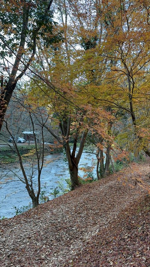 1122による紅葉キャンプ🍁 遊水峡 ファミリーキャンプ 区画サイト オートサイト はるかさんのキャンプブログ CAMPiii（キャンピー） -キャンプ専用SNS キャンプのすべてがここに集まる-