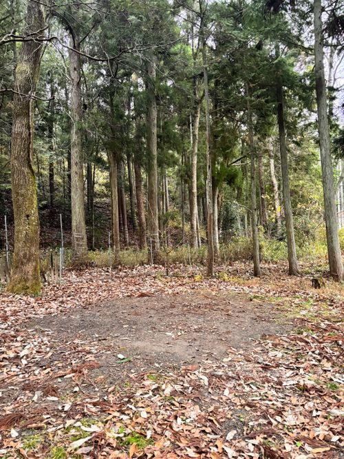 キャンプ界のスター（？）とソログルしてきた。 デルフリキャンプ エンジョイドローン上山田キャンプ場 グループキャンプ 区画サイト あやぴーさんのキャンプブログ CAMPiii（キャンピー） -キャンプ専用SNS キャンプのすべてがここに集まる-