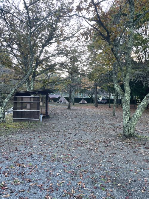 同僚と道志村で2泊3日のふたりキャンプ！ 道志村観光農園オートキャンプ場 ソロキャンプ グループキャンプ フリーサイト ma9さんのキャンプブログ CAMPiii（キャンピー） -キャンプ専用SNS キャンプのすべてがここに集まる-