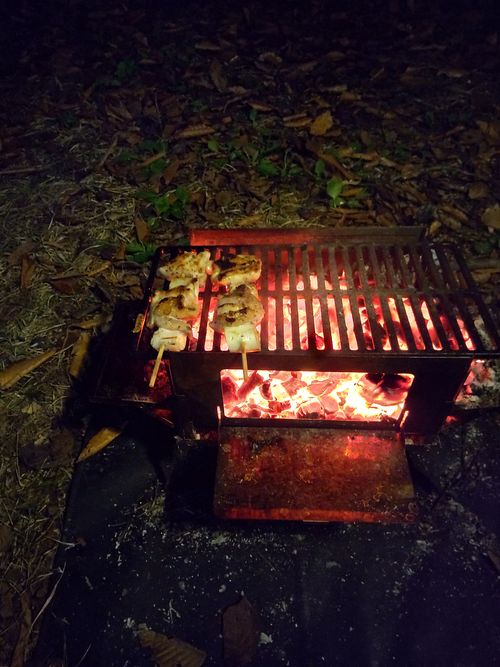 秋晴れカメムシ日和🤣 大父木地親水公園 ソロキャンプ グループキャンプ フリーサイト マッサンさんのキャンプブログ CAMPiii（キャンピー） -キャンプ専用SNS キャンプのすべてがここに集まる-