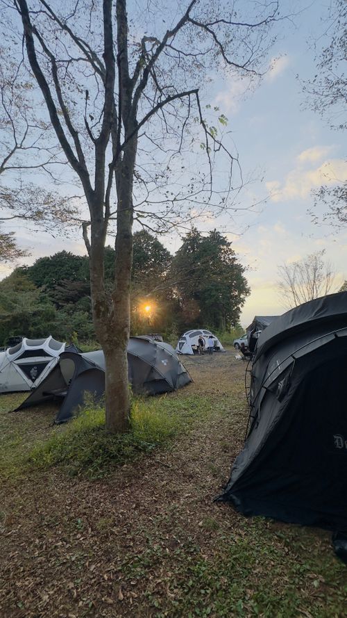イベントじゃない村山 村山ジャンボキャンプ場 林間サイト skitさんのキャンプブログ CAMPiii（キャンピー） -キャンプ専用SNS キャンプのすべてがここに集まる-