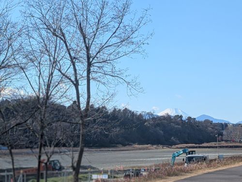色々とありましたが&hellip;ただいまです( ^^)b 郷土の森公園バーベキュー場 ファミリーキャンプ フリーサイト 好々爺🇯🇵さんのキャンプブログ CAMPiii（キャンピー） -キャンプ専用SNS キャンプのすべてがここに集まる-