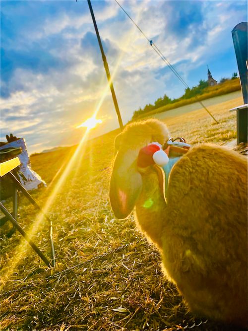 天国と地獄！？ 聖なる夜を愉しむおじおばうさキャン△ in グランヴェルデリゾート 〜 CAMP NO.168 GRAND VERDE RESORT ファミリーキャンプ グループキャンプ フリーサイト おじキャン△さんのキャンプブログ CAMPiii（キャンピー） -キャンプ専用SNS キャンプのすべてがここに集まる-