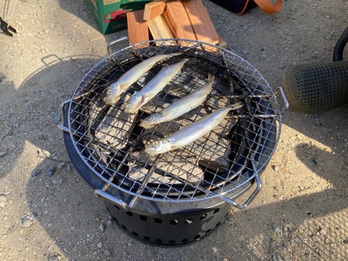 １月キャンプ　2回目【デュオキャン】 智光山公園 キャンプ場 グループキャンプ 区画サイト boorishcamperさんのキャンプブログ CAMPiii（キャンピー） -キャンプ専用SNS キャンプのすべてがここに集まる-